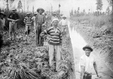 One of several gangs of men who dug drains